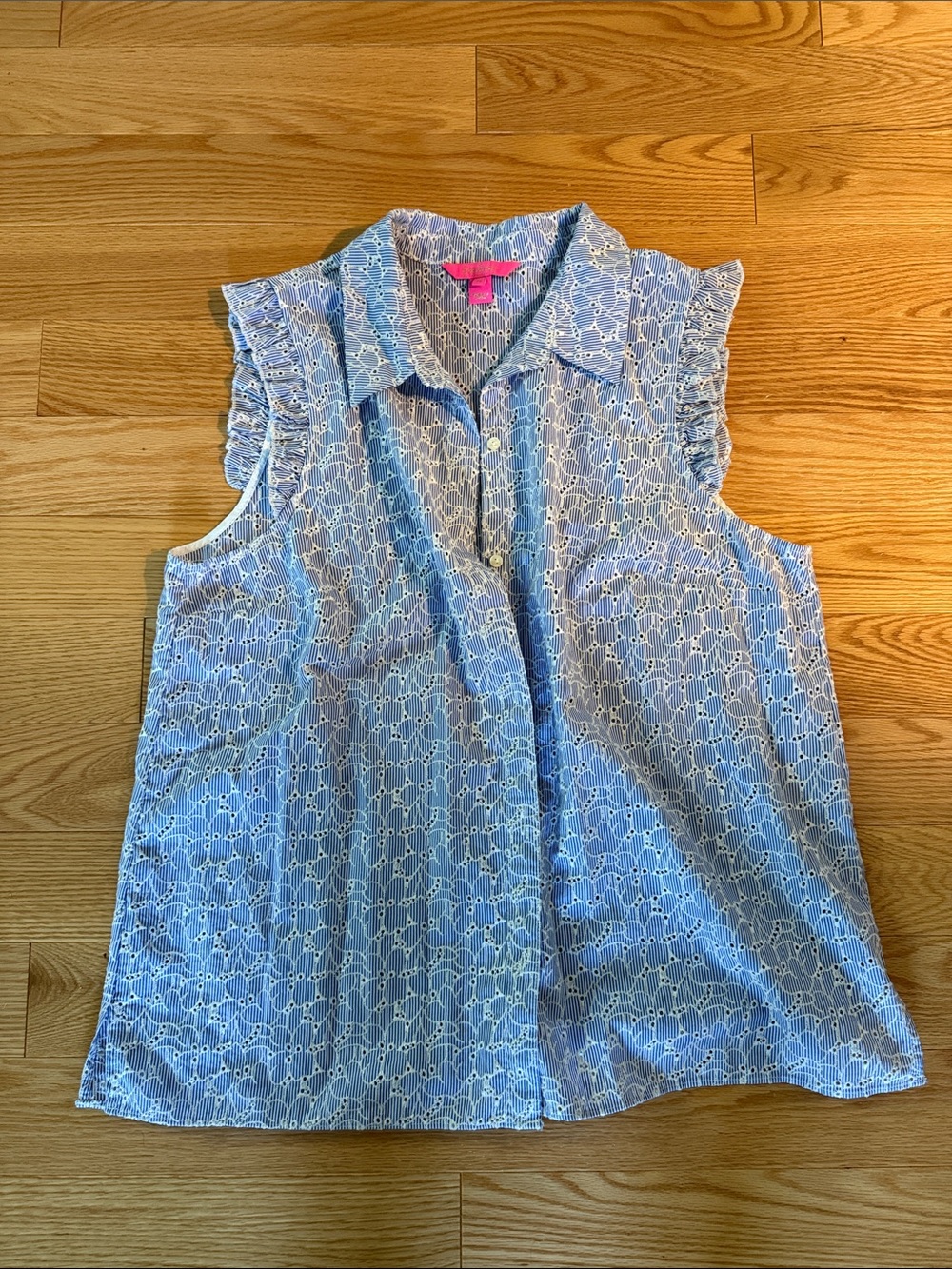 Women's Light Blue Eyelet Sleeveless Button-Front Top